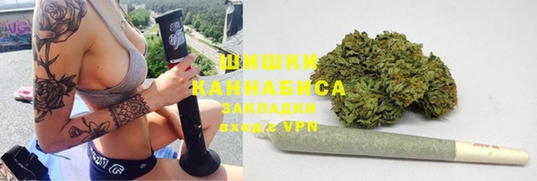 дживик Лагань