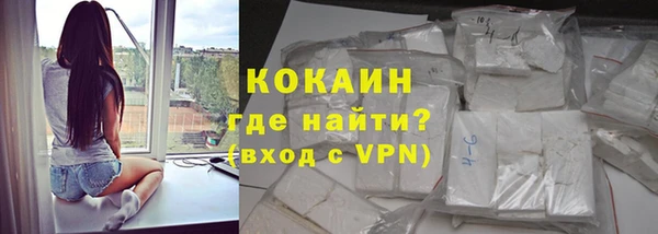 дживик Лагань