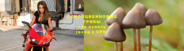 дживик Лагань