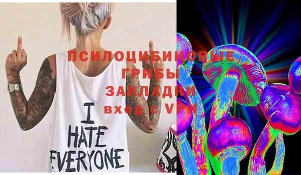 2c-b Ладушкин