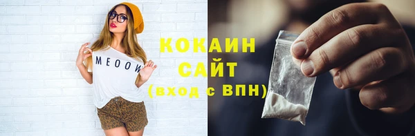 дживик Лагань