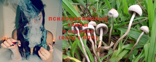 2c-b Ладушкин