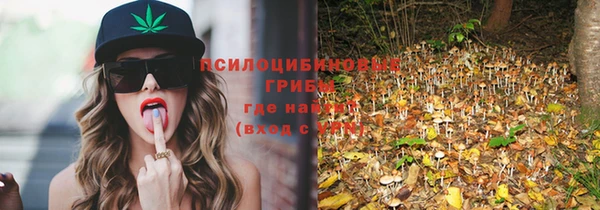 дживик Лагань