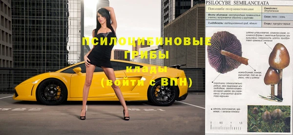 мдпв Лабытнанги